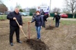 Состоялась закладка аллеи плодовых деревьев в поддержку российских военнослужащих