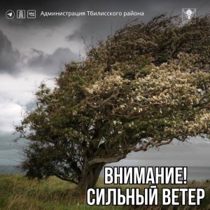Внимание! Жители Тбилисского района!