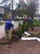 На центральной улице станицы Тбилисской появилась еще одна клумба