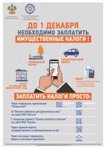 Имущественные налоги за 2024 год нужно оплатить до 1 декабря