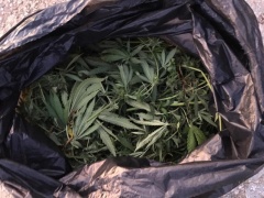 Итоги оперативно – профилактического мероприятия «Доза» подвели правоохранители Тбилисского района