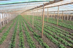 Тбилисцы получат около 3 млн. рублей субсидий