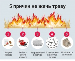Развел костер, сжег мусор, траву, листву и иные отходы, получи штраф