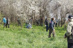 Жители Тбилисского района приняли участие во всероссийском субботнике «Зеленая Россия»
