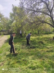 Покос и уборка сорной растительности
