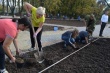В парке хутора Северокубанский высадили 300 саженцев деревьев и кустарников