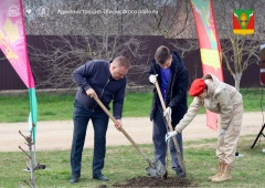 Высадили еще один Сад памяти