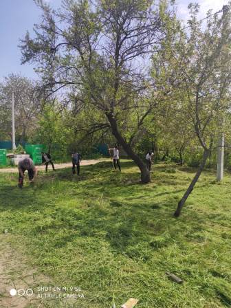 Покос сорной растительности