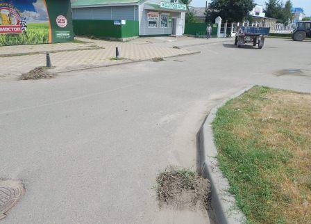 Рабочие будни в Тбилисской