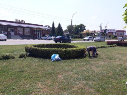 Продолжаются работы по наведению санитарного порядка