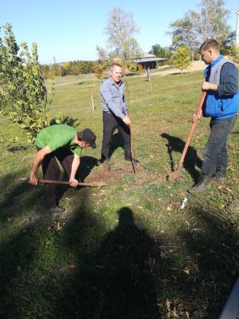 В Тбилисском районе при содействии молодого депутата посадили новые деревья на «Аллею Победы» В Тбилисском районе при содействии молодого депутата посадили новые деревья на «Аллею Победы»