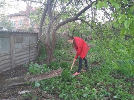 В Тбилисском районе продолжается акция «Ветеран рядом»