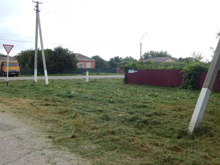 В хуторе Северин на улице Молодежной убрали ветки ивы