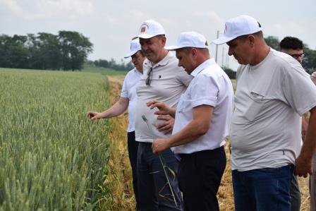 Смотр культуры земледелия прошел в Тбилисском районе