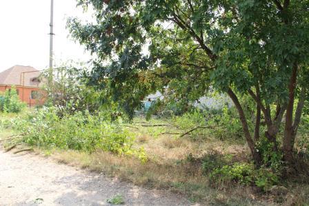 Сотрудниками МАУ «Радуга» проводятся работы по наведению порядка