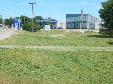 В Тбилисской и Северин продолжают косить траву