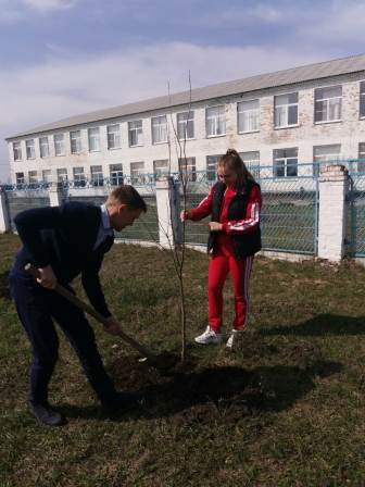 Акция «Сад памяти»