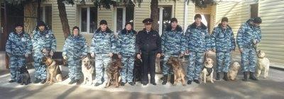 полицейские-кинологи.jpg
