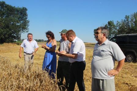 Глава Тбилисского района ознакомился с ходом уборки кубанского "золота