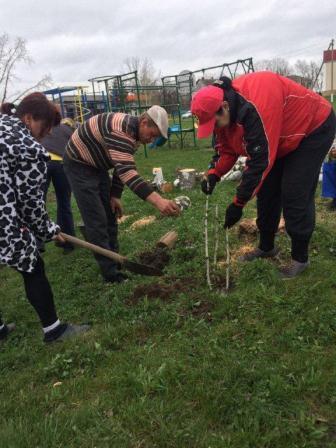 В Тбилисском районе состоялась экологическая акция «Посади дерево»