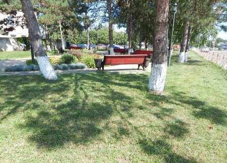 В Тбилисской и Северин продолжают косить траву