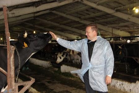 В Тбилисском районе состоялся первый смотр животноводческих ферм