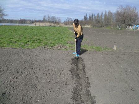 Тимуровцы пришли на помощь старшему поколению