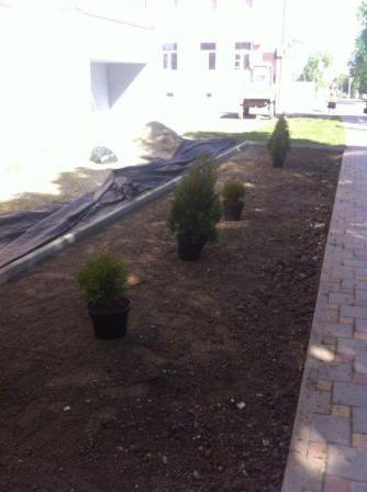 Тбилисский район принял участие во Всероссийском субботнике «Зеленая Россия»