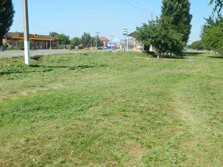 Борьба с сорной растительностью продолжается