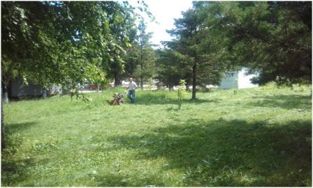 В Ловлинской прошел субботник