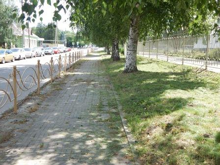 В Тбилисской и Северин продолжают косить траву