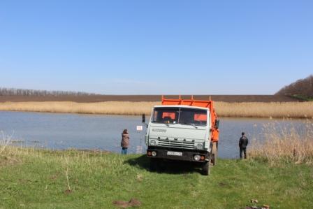 2,5 тыс. мальков толстолобика и судака запустили в реку в станице Алексее-Тенгинской 