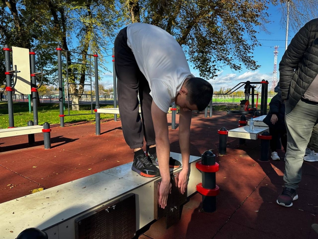 Всероссийский физкультурно-спортивный комплекс «Готов к труду и обороне» (ГТО)