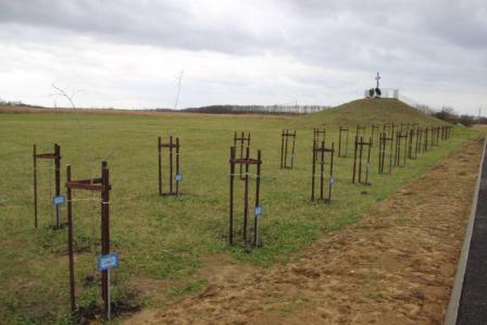 Глава Тбилисского района намерен создать мемориальный комплекс на месте битвы сотни Андрея Гречишкина