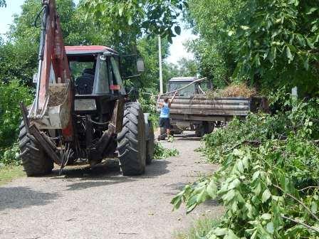 В Тбилисской и Северин продолжают косить траву