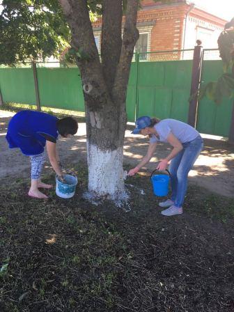 В станице Тбилисской продолжают наводить порядок