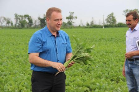 Глава Тбилисского района провел смотр культуры земледелия