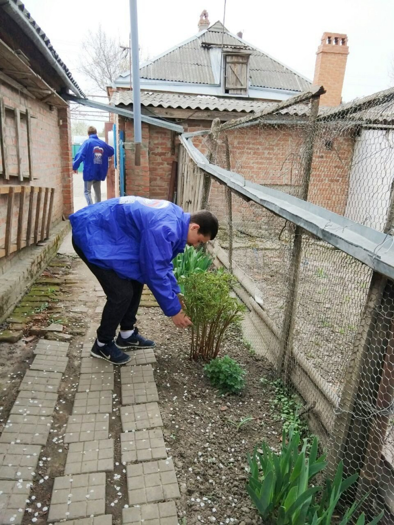 image.jpg