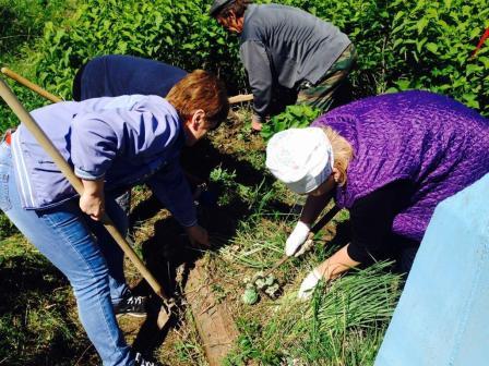 Тбилисский район принял участие во Всероссийском субботнике «Зеленая Россия»