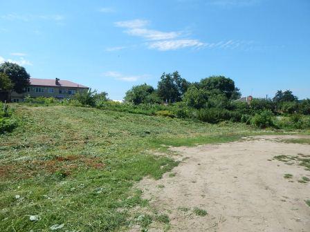 Борьба с сорной растительностью продолжается