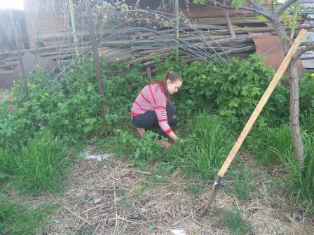 В Тбилисском районе продолжается акция «Ветеран рядом»
