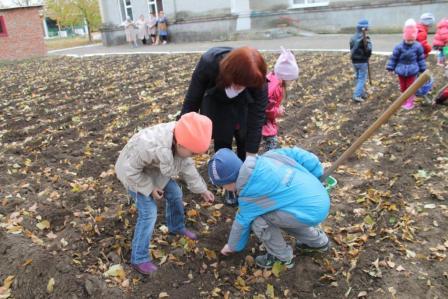 Дошколята выращивают саженцы каштана