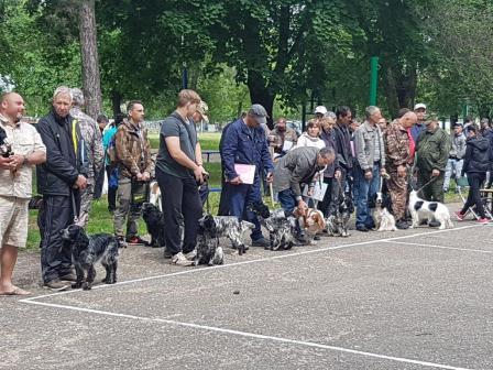 В Тбилисском районе вновь собрались любители собак со всей страны