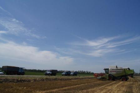 Уборка ячменя