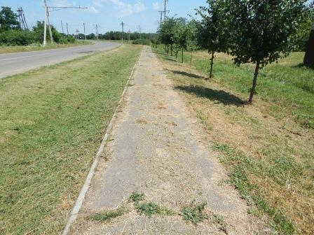 Борьба с сорной растительностью продолжается