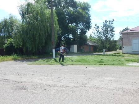 В Тбилисской и Северин продолжают косить траву