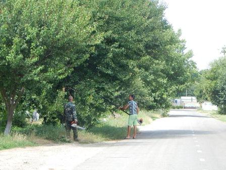 Рабочие будни в Тбилисской