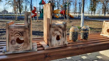 Установили кормушки для белок и птиц