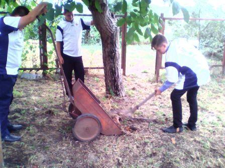 Ловлинские волонтеры помогли вдове ветерана