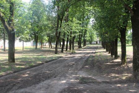 Евгений Ильин совершил объезд станицы Тбилисской